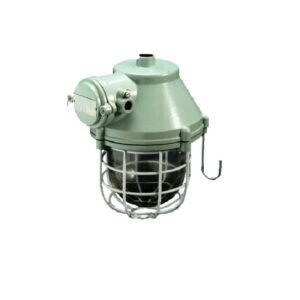 FLP/WP LED WELL GLASS FITTING